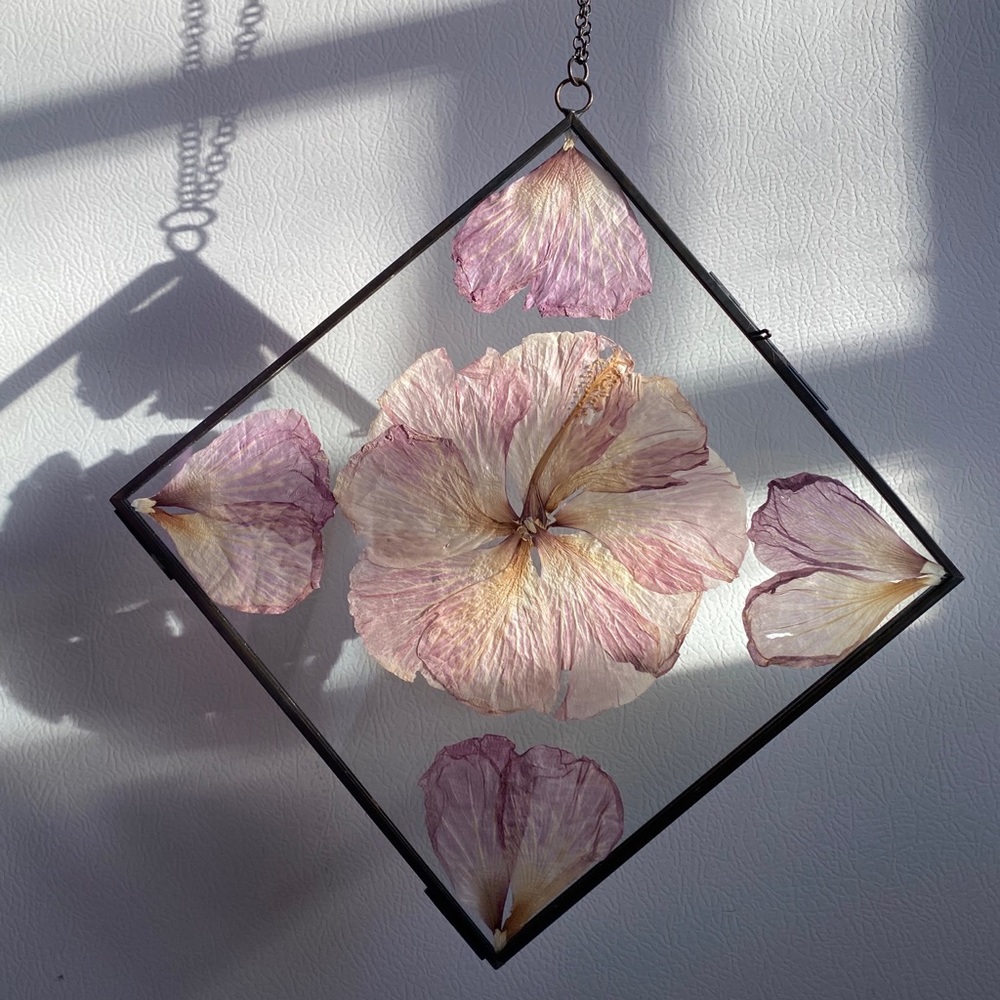 Pressed flower hibiscus wall hanging